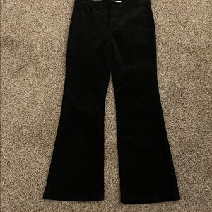LOFT Elegant Black Boot Cut Velvet Pants
